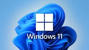 Read more about the article Windows 11强制更新显着降低SSD速度； 尝试这些修复